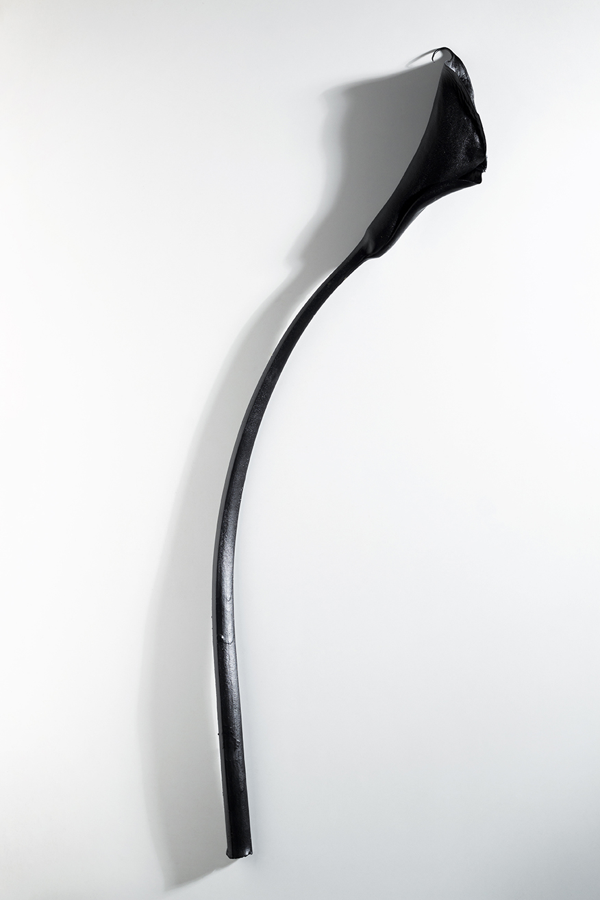 Photographie Fleur Renault Gabriel Noire Still Life
