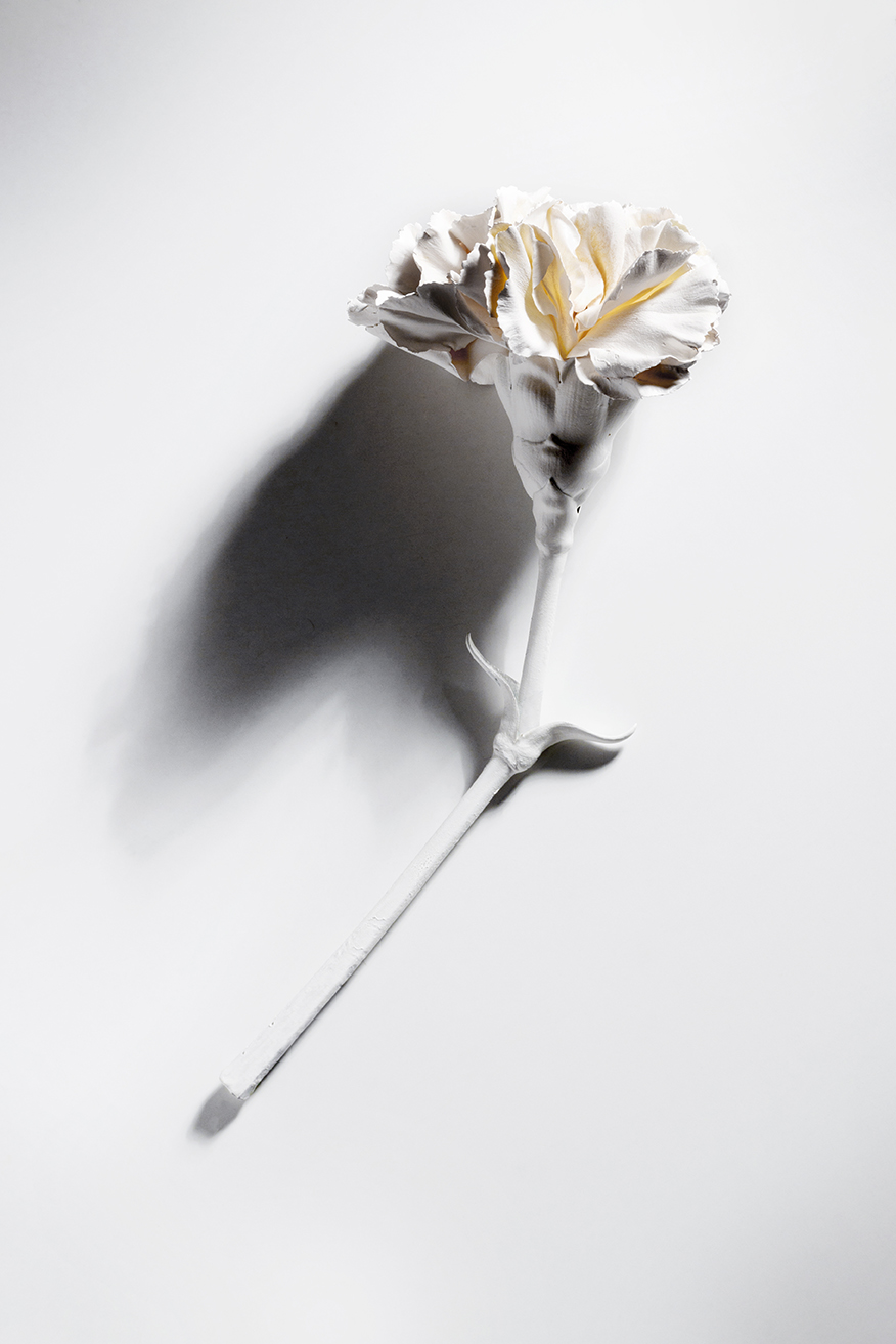 Photographie Renault Gabriel Fleur Blanc Nature Morte