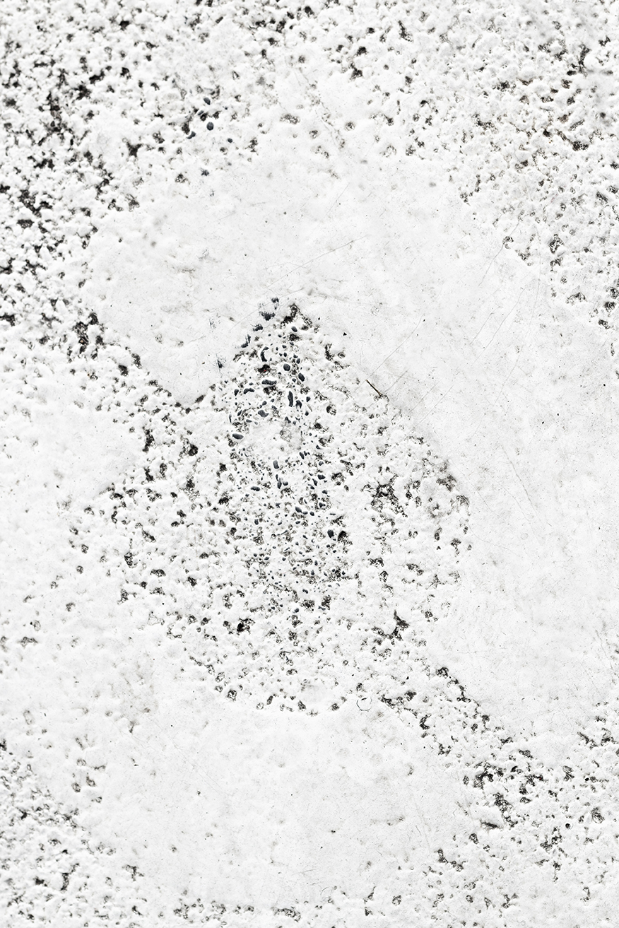 Photographie Texture Blanc Renault Gabriel Naturte Morte